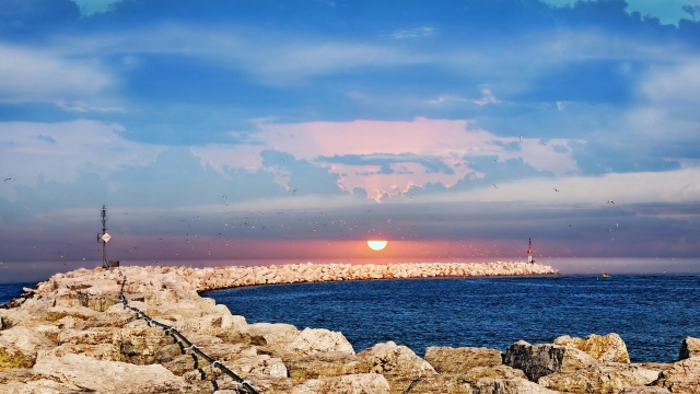 jinnian金年会：园林绿化养护补栽