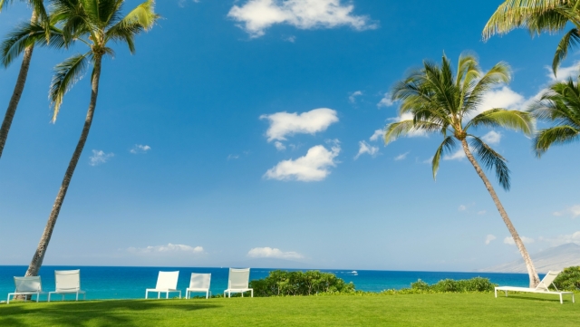 园林绿化的草坪