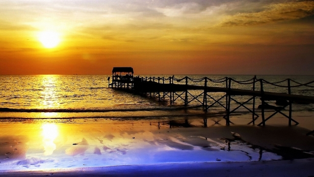 金年会：园林绿化用鸡粪一袋多少斤