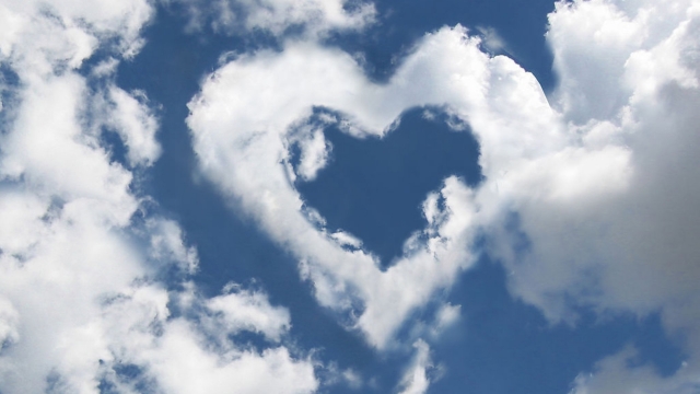 金年会：园林绿化临摹