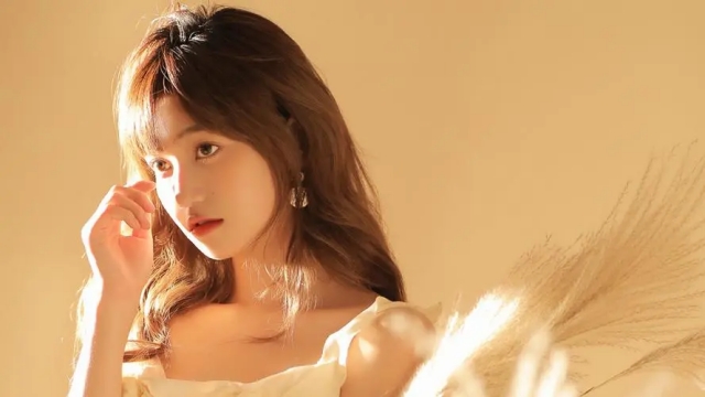 jinnianhui金年会：园林绿化破碎树枝