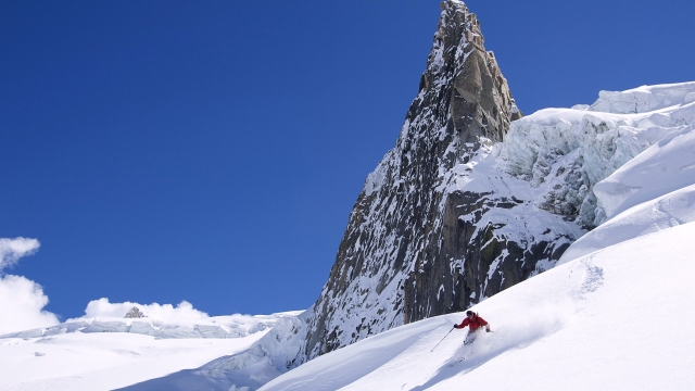 园林绿化植物护栏