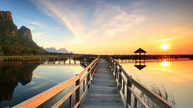 园林绿化每年打药几次