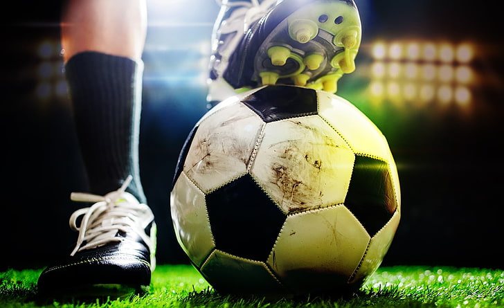 jinnianhui金年会：园林绿化修剪过后要施肥吗