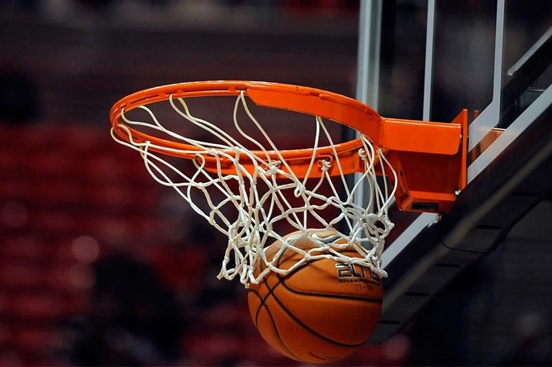 园林绿化以及苗木种植养护