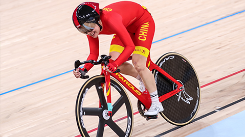 jinnianhui金年会：唐山国际校园绿化工程